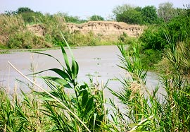 Photo of the Rio Grande river
