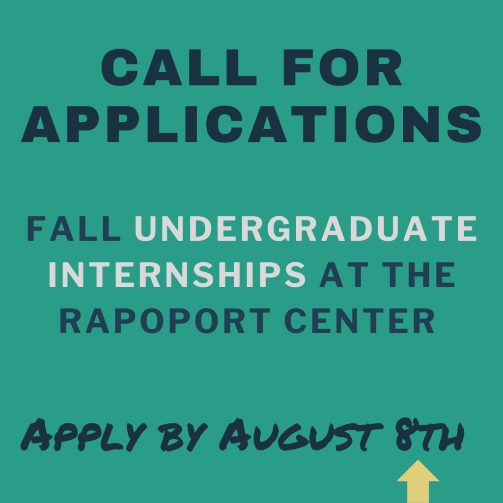 Rapoport Center for Human Rights and Justice Undergraduate Internships