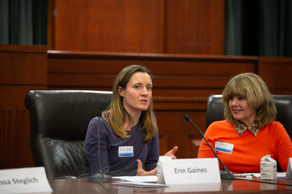 Erin Gaines and Amy Johnson speaking