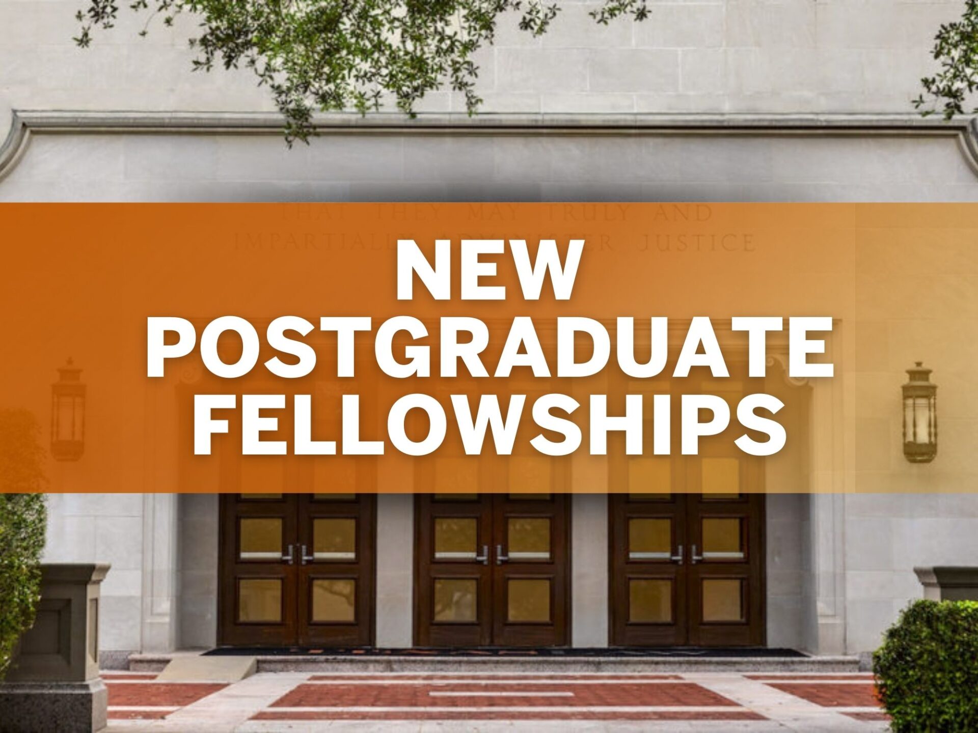 New Postgraduate Fellowships