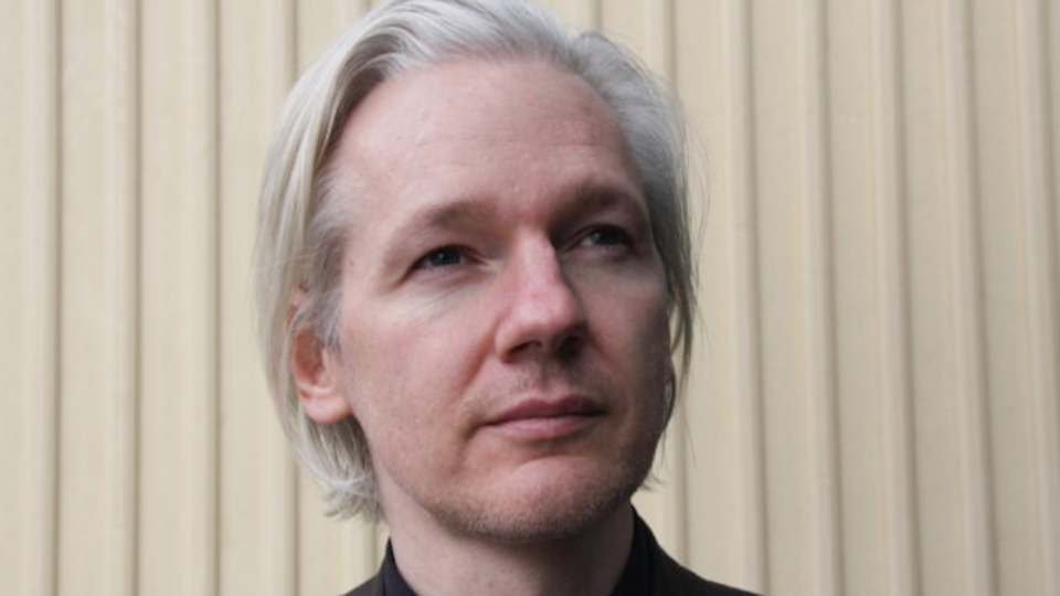 Julian Assange headshot