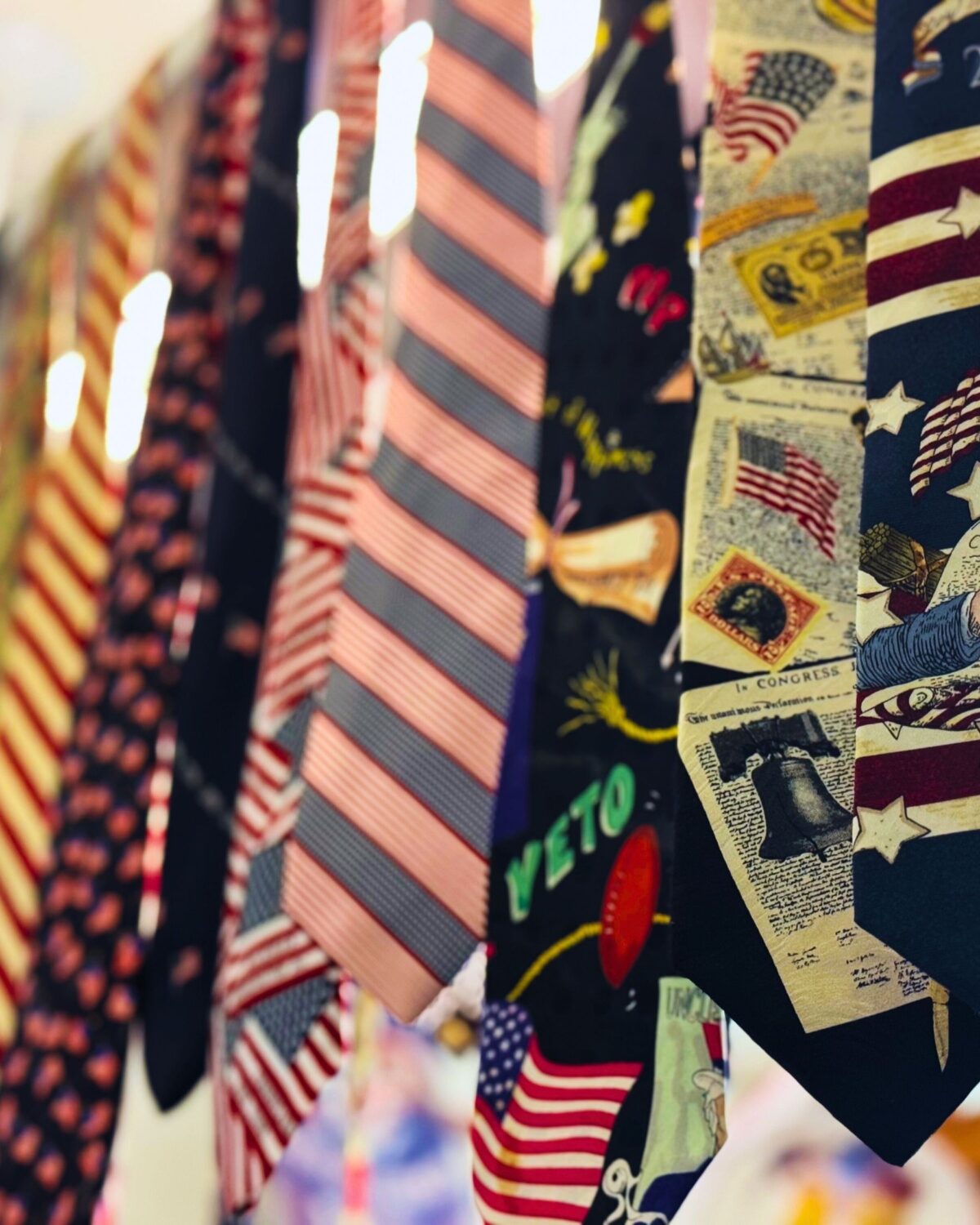 Levinson-Flags_Web-Feature_2