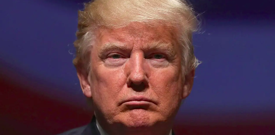 Headshot of Donald Trump, looking straight into the camera