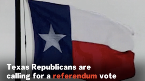 Texas Referendum vote