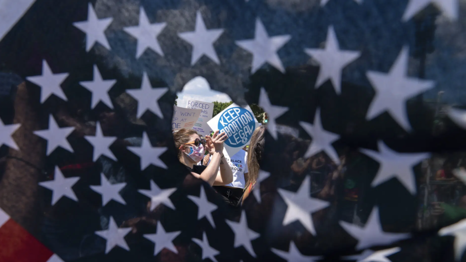 Protestors through a hole in the Americanflag