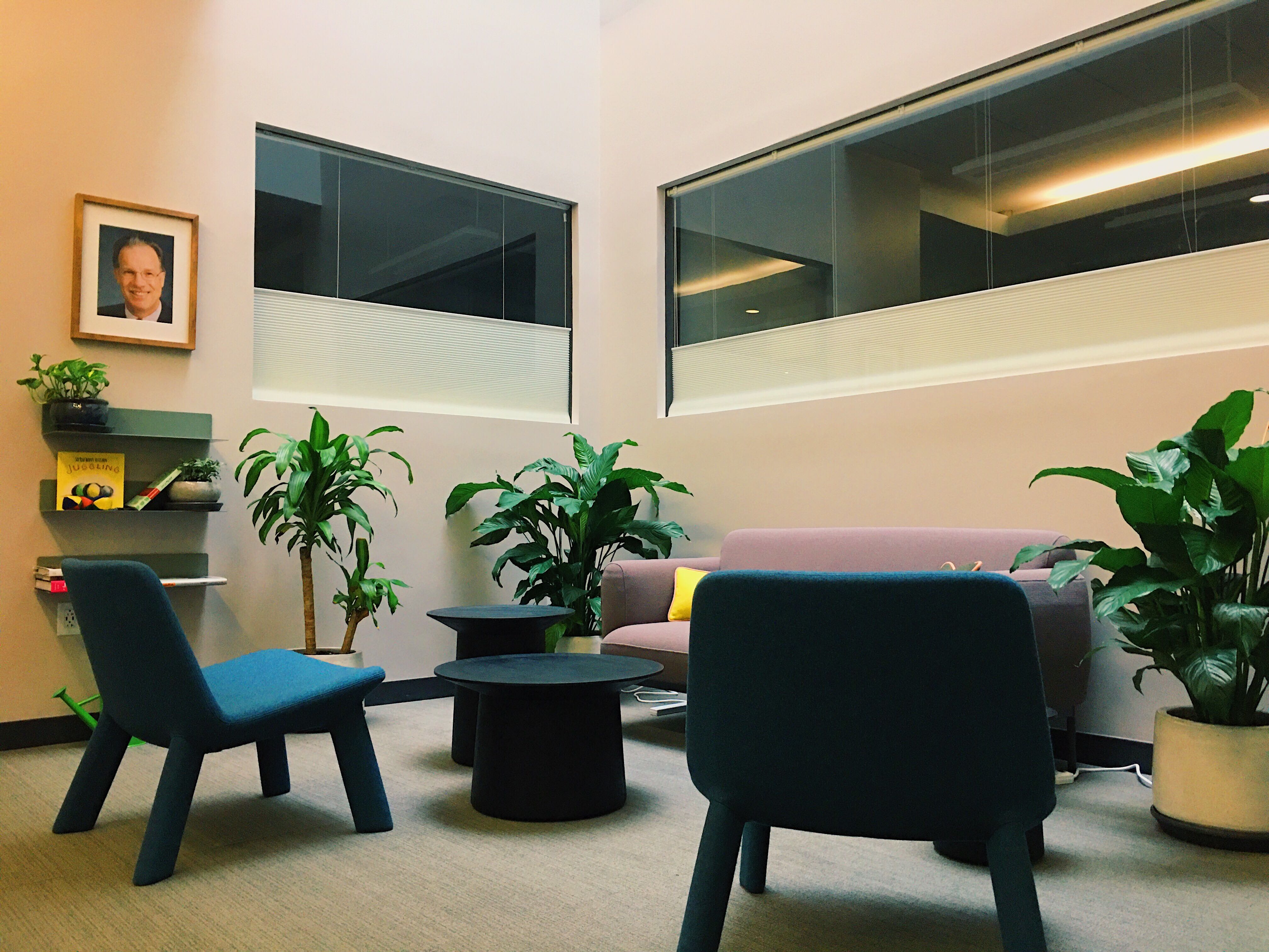 Corner of the Law School with plants, blue chairs, a purple couch, and a shelf of books. This is the John A. Robertson "alcove".