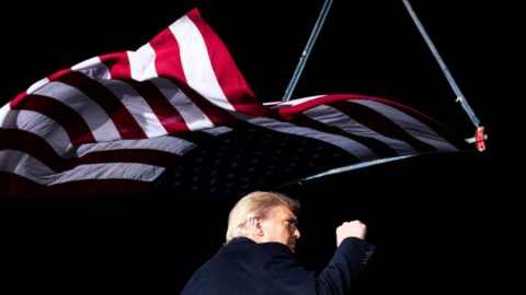 Donald Trump with his right fist in the air, with a graphic of the United States flag hanging sideways above him.
