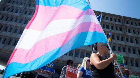 A protestor holds a transgender pride flag