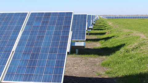 A row of large solar panels lay in a grassy field.