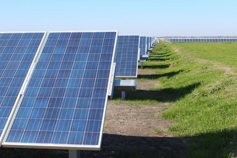 A row of large solar panels lay in a grassy field.