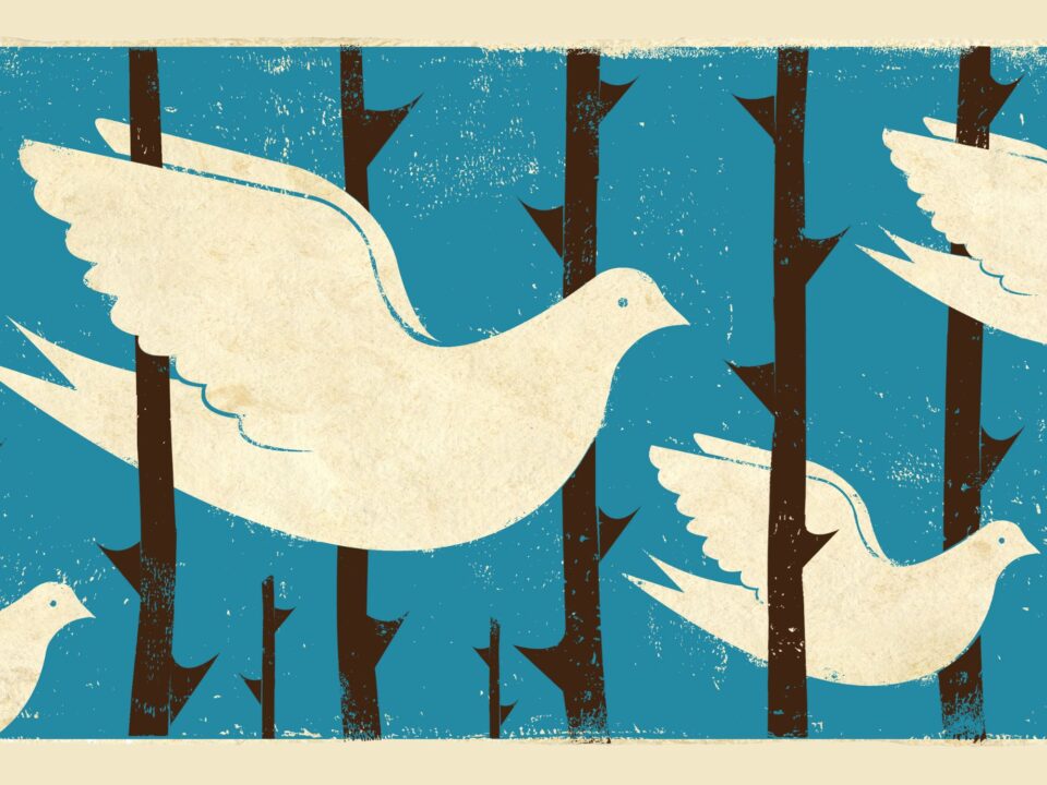 Illustration of doves flying through thorny prison bars