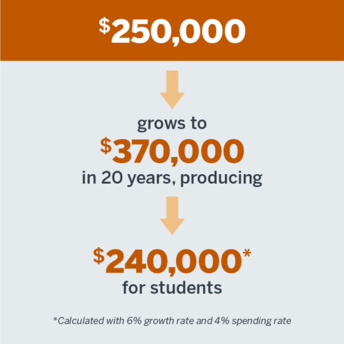 $250,000 Grows to $370,000 in 20 years producing $240,000* for students *Calculated with 6% growth rate and 4% spending rate