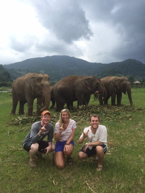 students in front of elephants
