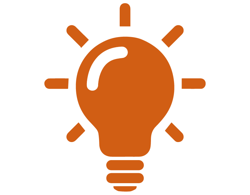 lightbulb icon: Practical Experience