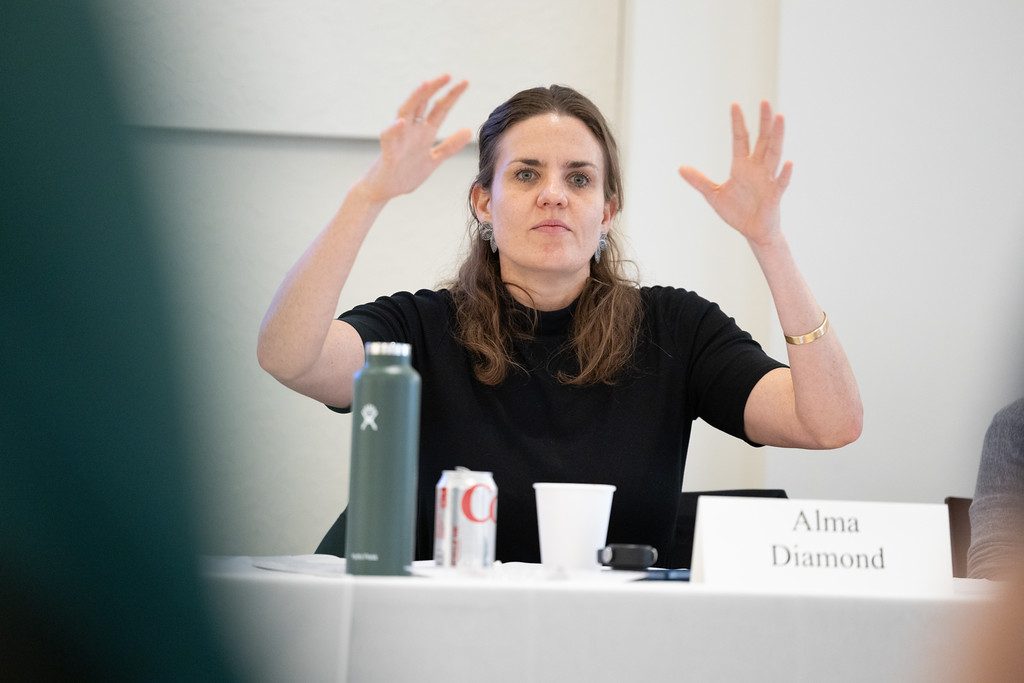 Alma Diamond at The Normative Foundations of the Market Conference